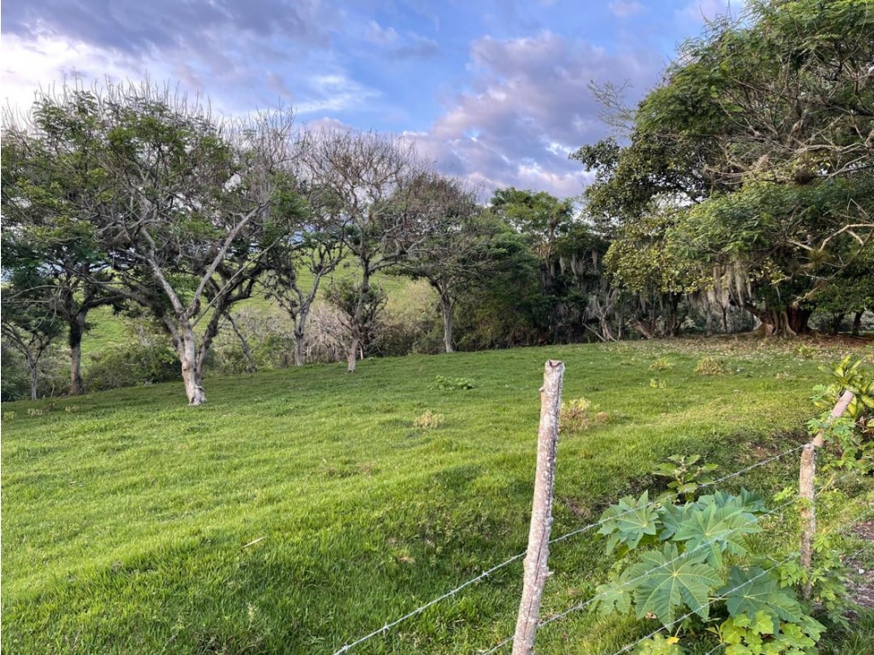 Lote en venta en condominio campestre Lagos de Maracaibo Palmira Valle — foto 4