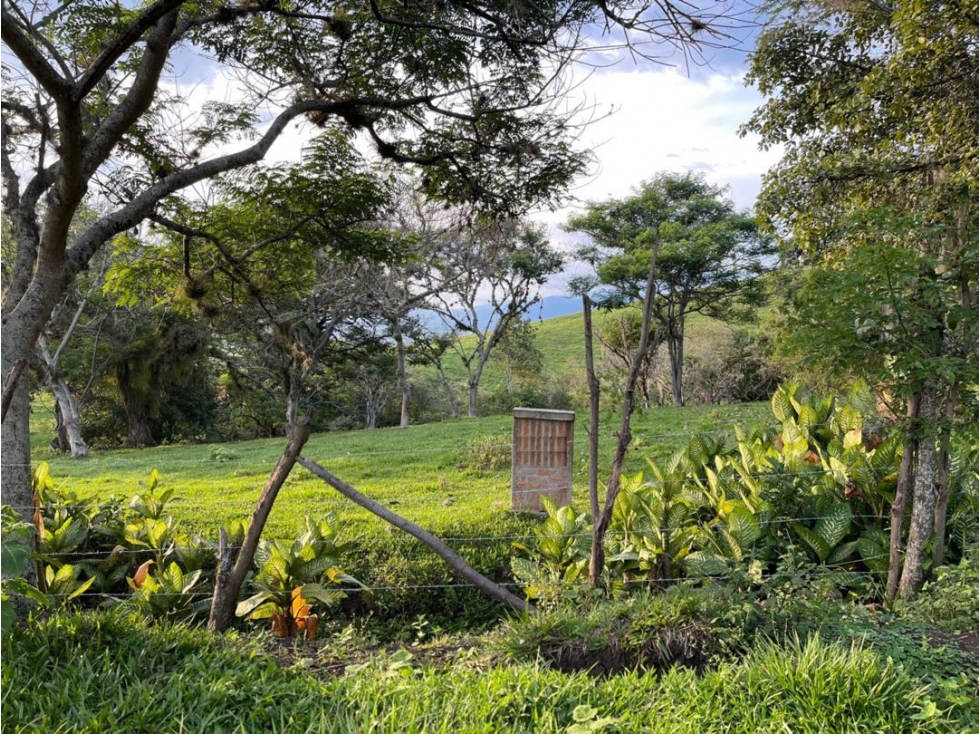Lote en venta en condominio campestre Lagos de Maracaibo Palmira Valle — foto 3