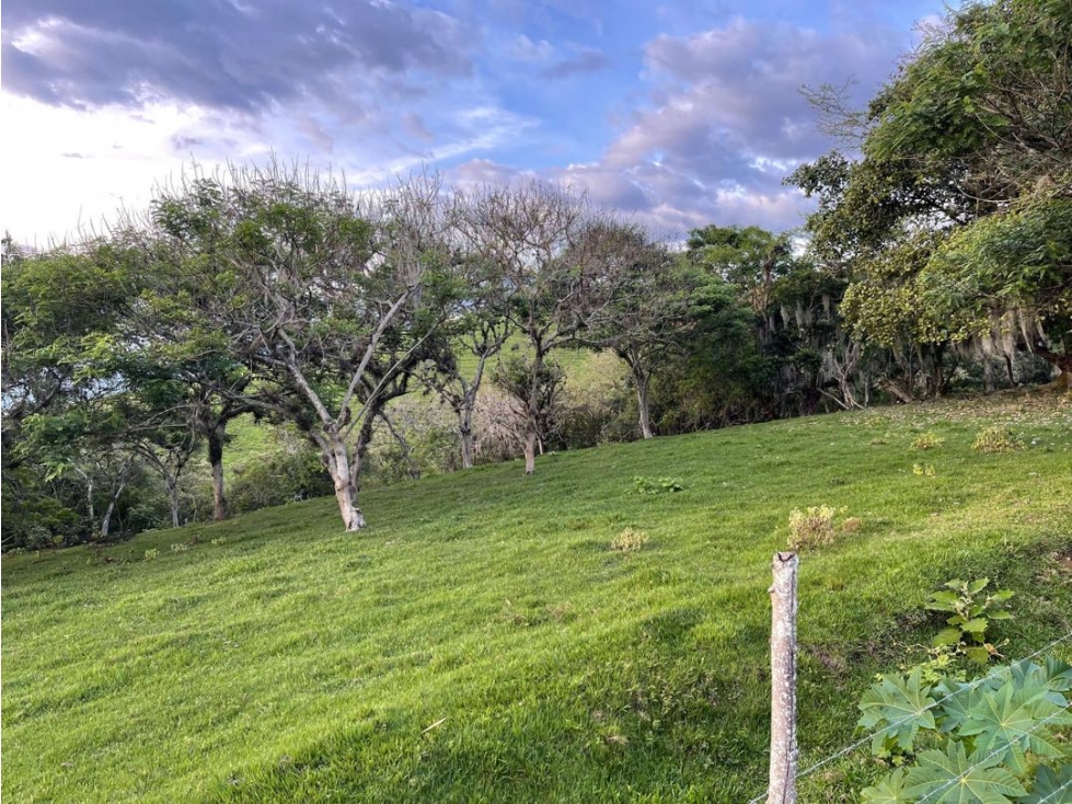 Lote en venta en condominio campestre Lagos de Maracaibo Palmira Valle — foto 2