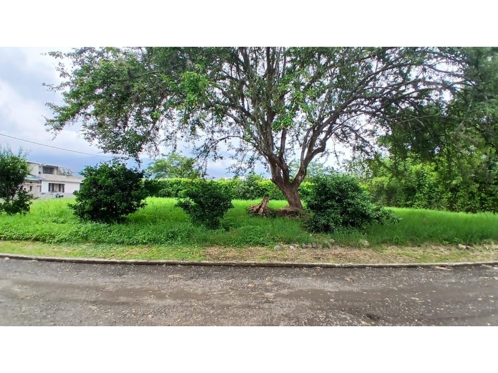 Lote en venta en condominio campestre - Santa Elena El Cerrito Valle — foto 6