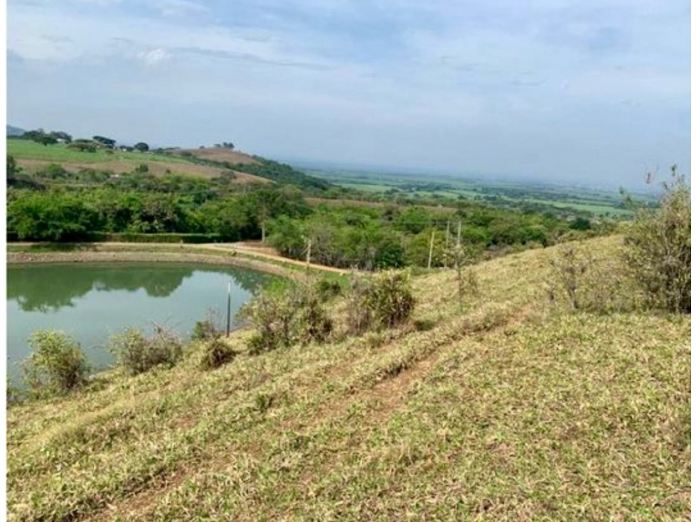 Lote en venta en condominio campestre Lagos de Maracaibo Palmira Valle — foto 2