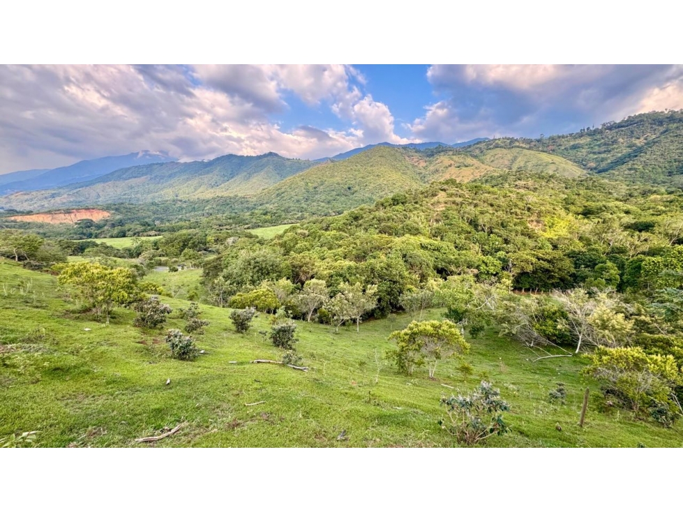 Lote en venta en condominio campestre Lagos de Maracaibo Palmira Valle