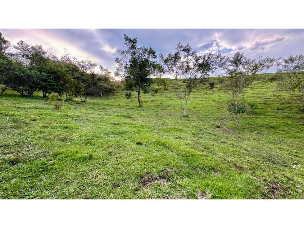 Lote en venta en condominio campestre Lagos de Maracaibo Palmira Valle — foto 2