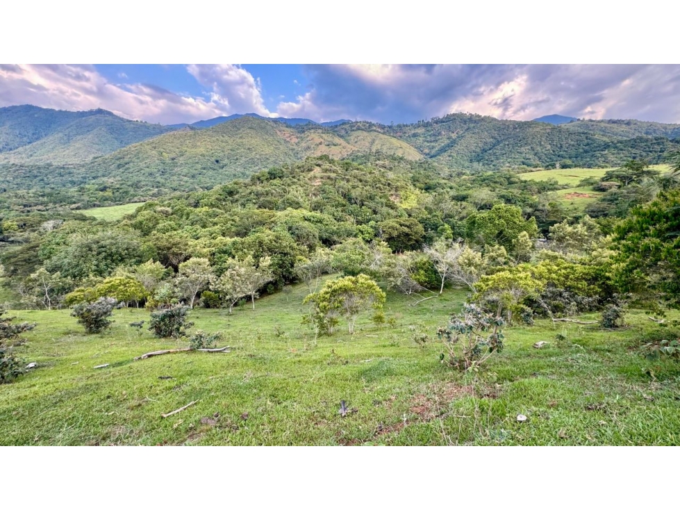 Lote en venta en condominio campestre Lagos de Maracaibo Palmira Valle — foto 3