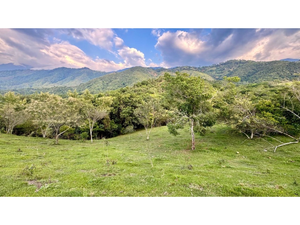 Lote en venta en condominio campestre Lagos de Maracaibo Palmira Valle — foto 4