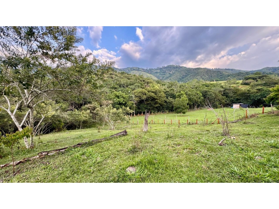 Lote en venta en condominio campestre Lagos de Maracaibo Palmira Valle — foto 5