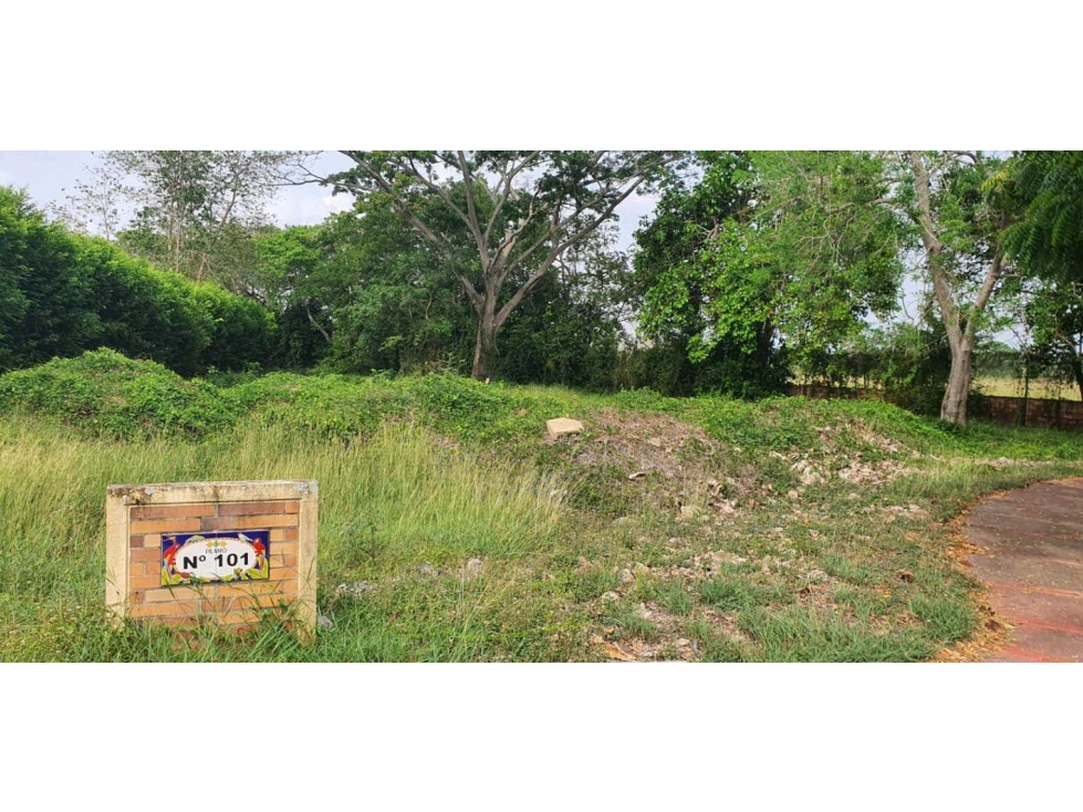 LOTE EN VENTA EN CONJUNTO CERRADO PILAMO EN MONTERIA