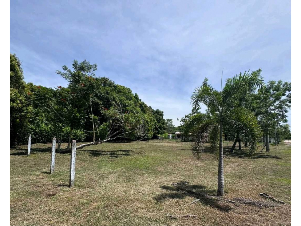 Lote en Venta en CONJUNTO GUAYACANES-1.040 m²
