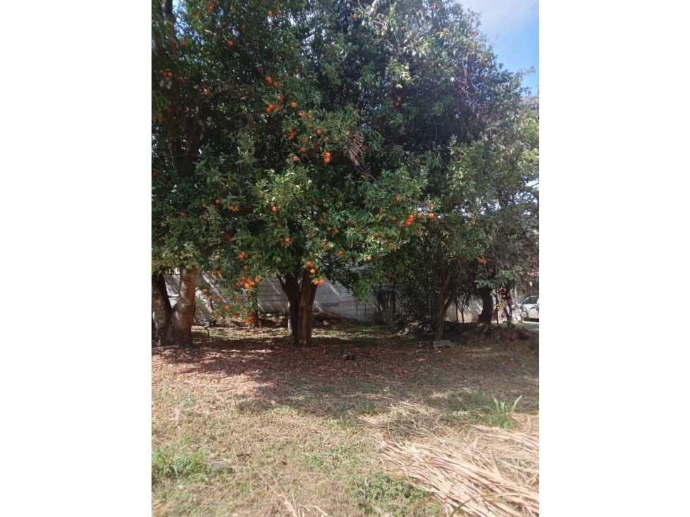 Lote en Venta en Copacabana en sector San Juan - 2