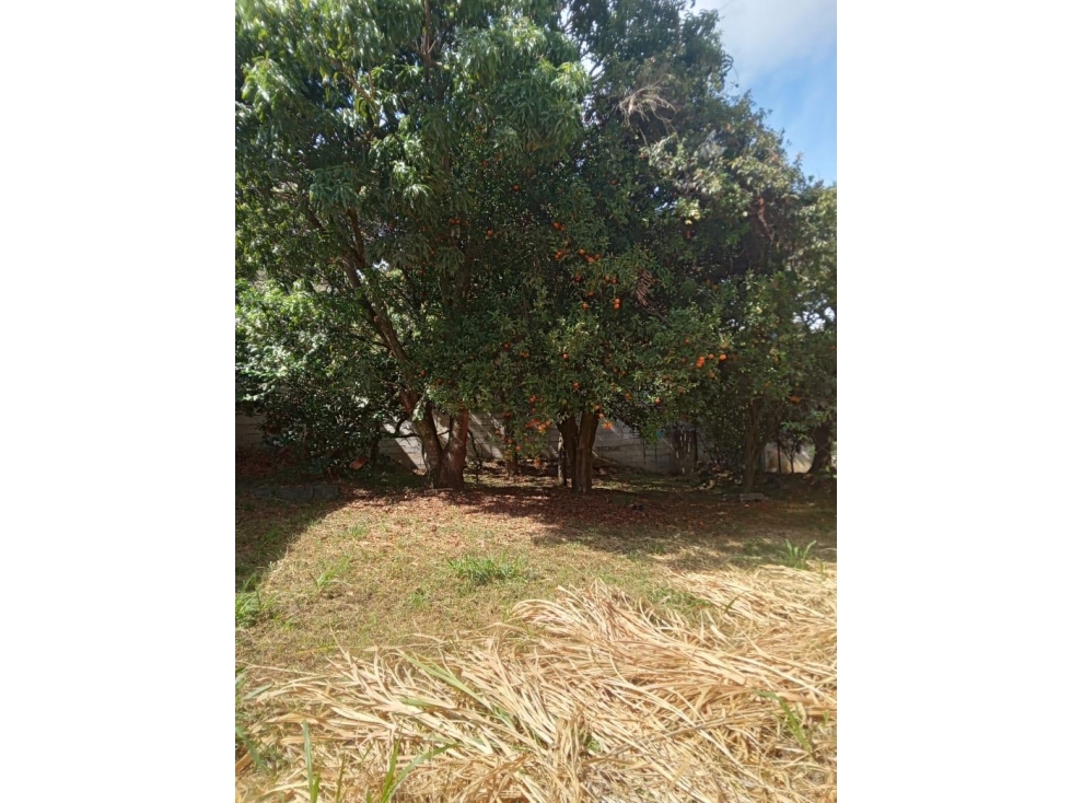 Lote en Venta en Copacabana en sector San Juan - 3