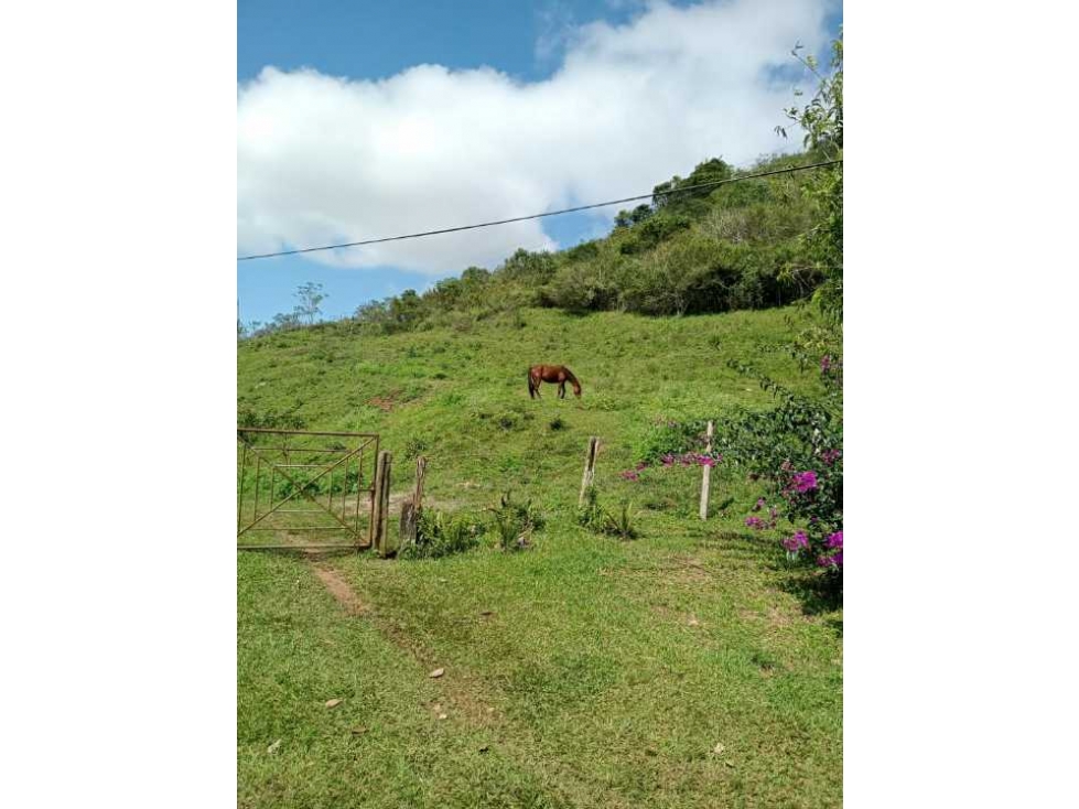 Lote en venta en dagua km 42 - 2