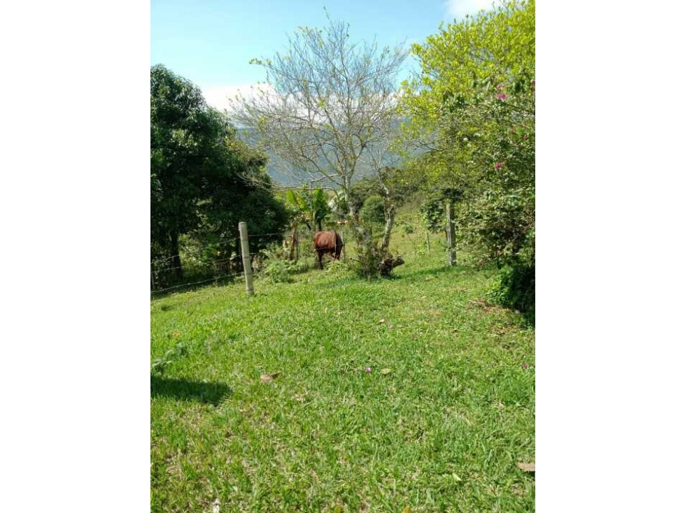 Lote en venta en dagua km 42 - 5