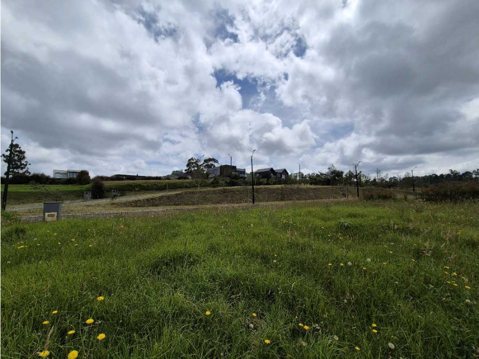 Lote en venta en el alto de las palmas — foto 5