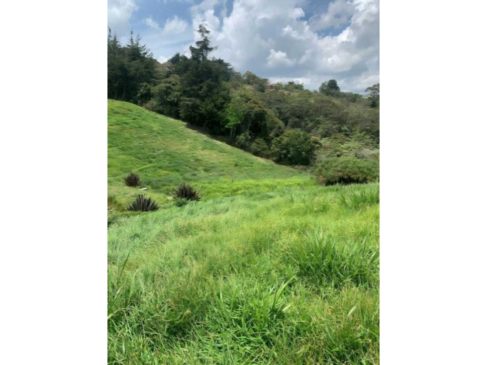 Lote en venta en San Antonio de Pereira — foto 2