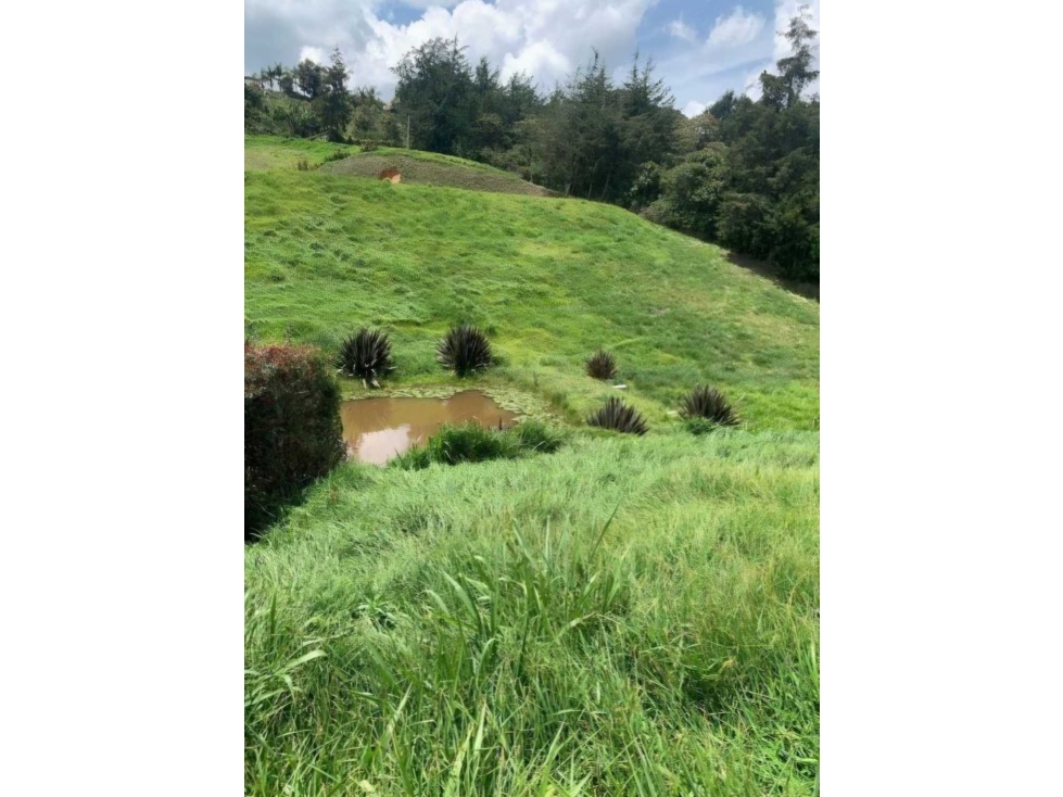 Lote en venta en San Antonio de Pereira — foto 3