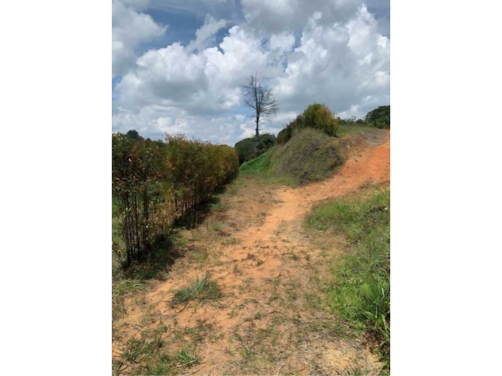 Lote en venta en San Antonio de Pereira — foto 4