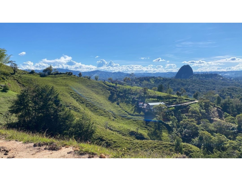 Lote en Venta en Guatape Sector la Peña