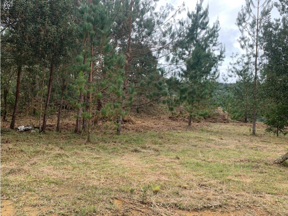 LOTE EN VENTA EN EL RETIRO - 2