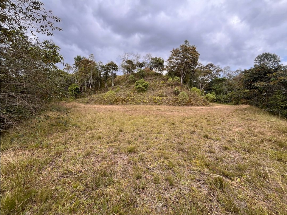 LOTE EN VENTA EN EL RETIRO UNIDAD CERRADA SECTOR PANTANILLO