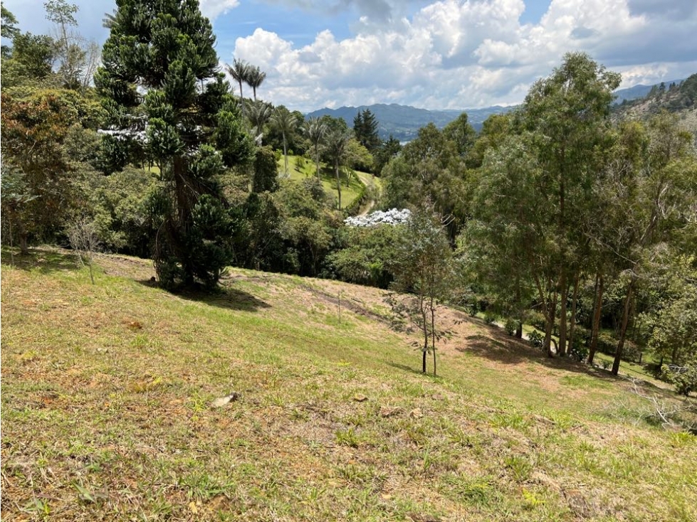 LOTE EN VENTA EN EL RETIRO VIA PALMAS LA FE - 3