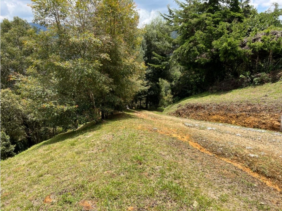 LOTE EN VENTA EN EL RETIRO VIA PALMAS LA FE - 4