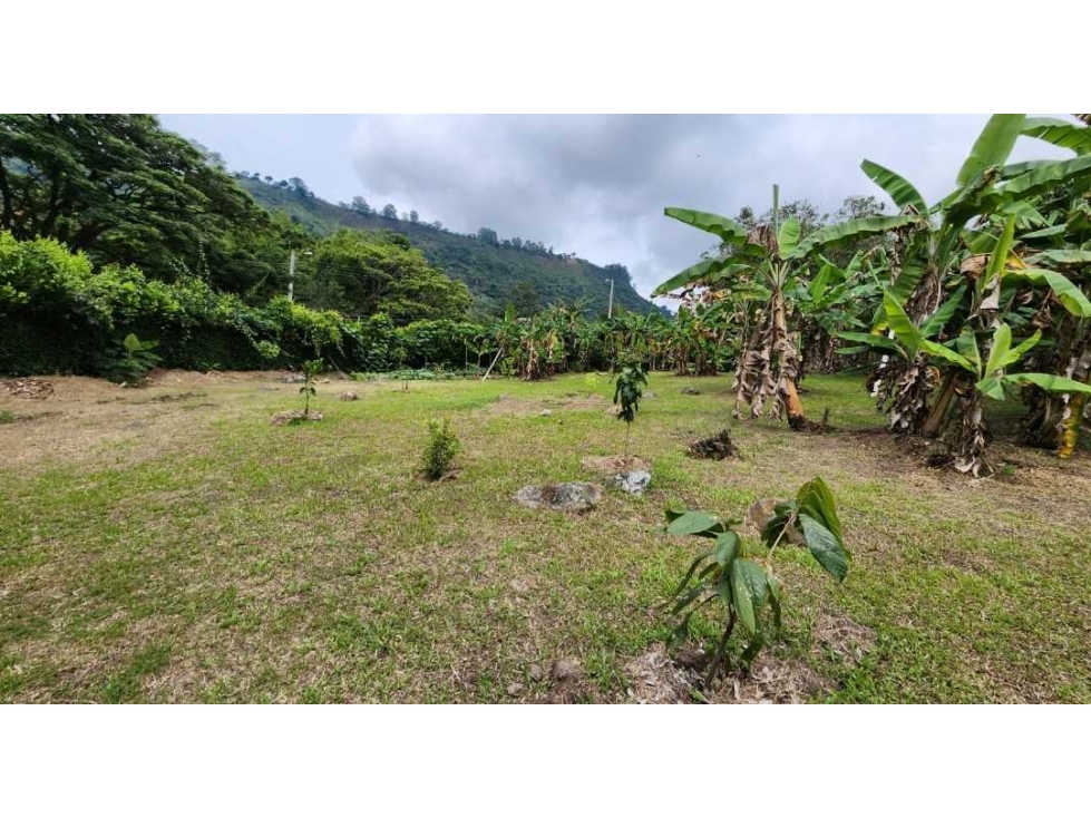 LOTE EN VENTA EN EL SECTOR DE LA MESA CUNDINAMARCA - 1