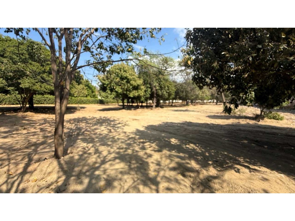 Lote en venta en el sector La Paz por Bello Horizonte Santa Marta — foto 2