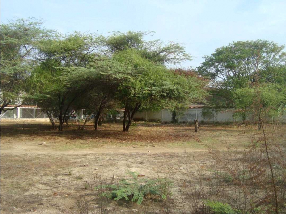 Lote en venta en el sector La Paz por Bello Horizonte Santa Marta — foto 3