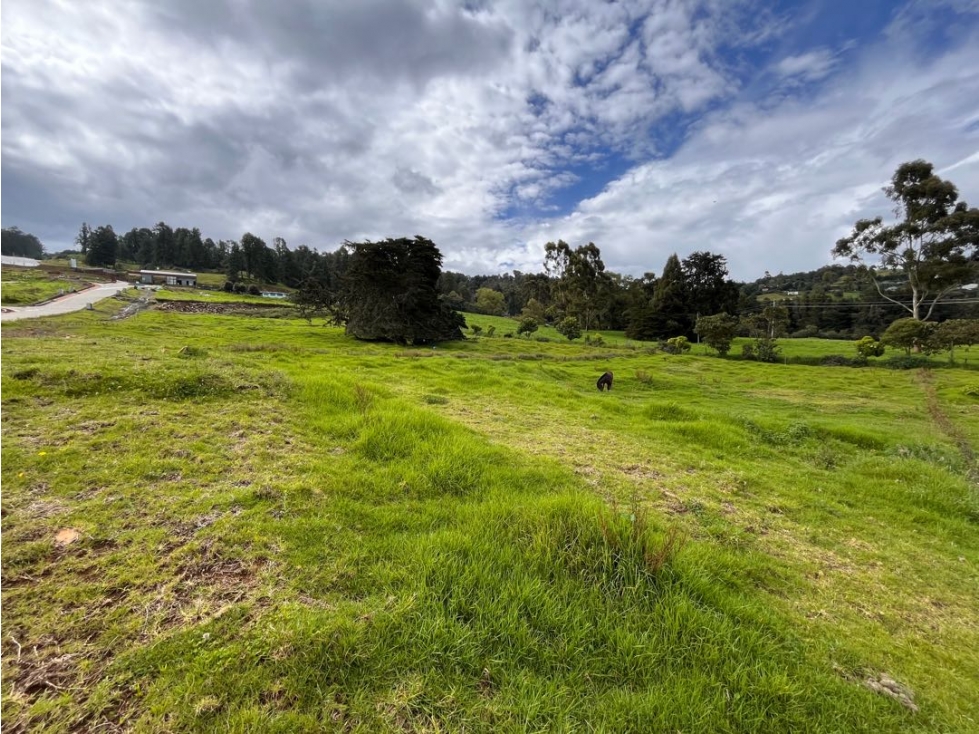 LOTE EN VENTA EN ENVIGADO ALTO DE LAS PALMAS 006 — foto 4