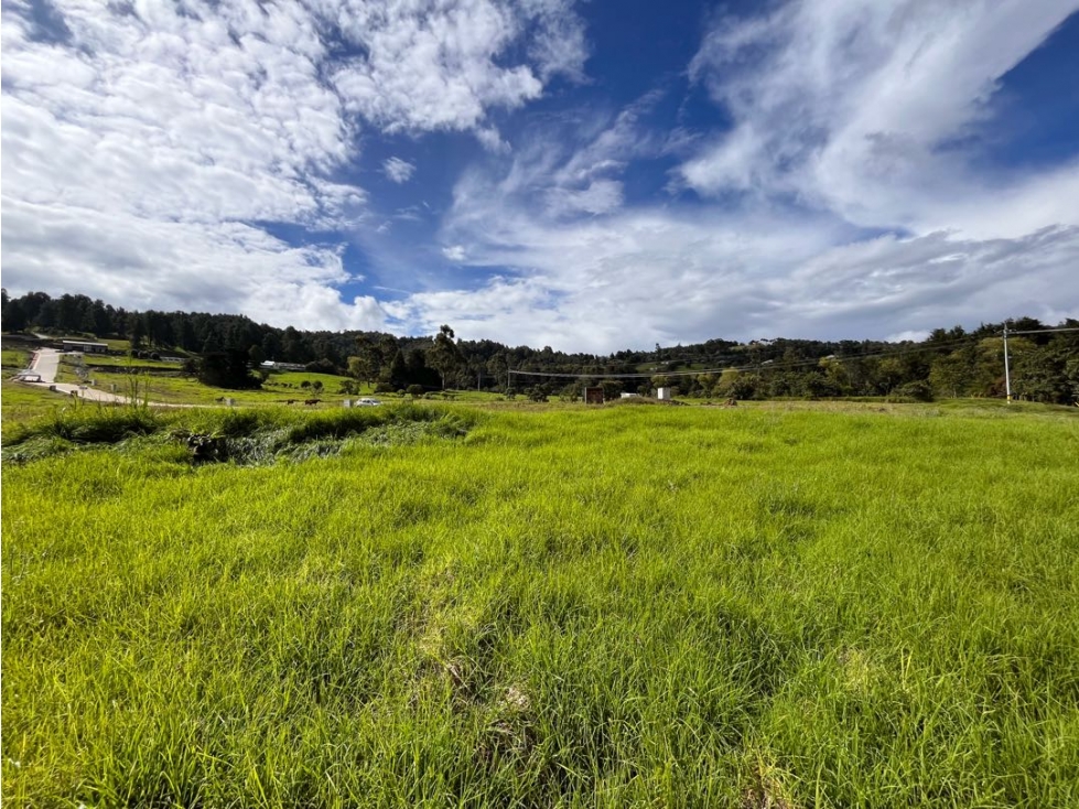 LOTE EN VENTA EN ENVIGADO ALTO DE LAS PALMAS 012 — foto 5