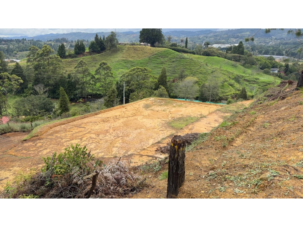 Lote en venta en guarne Antioquía
