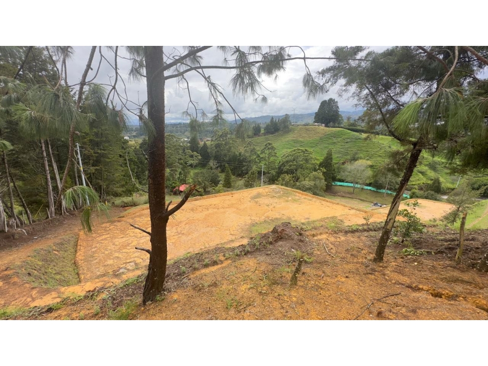 Lote en venta en guarne Antioquía — foto 5