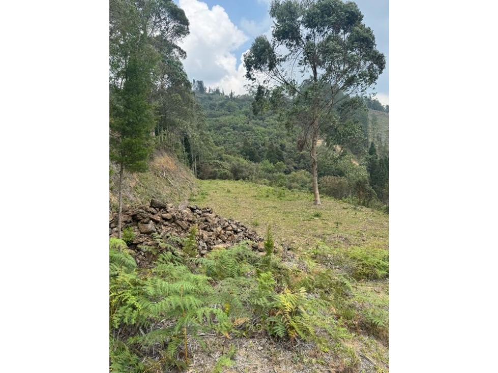 Lote en VENTA en Guarne, vereda la Hondita. — foto 4