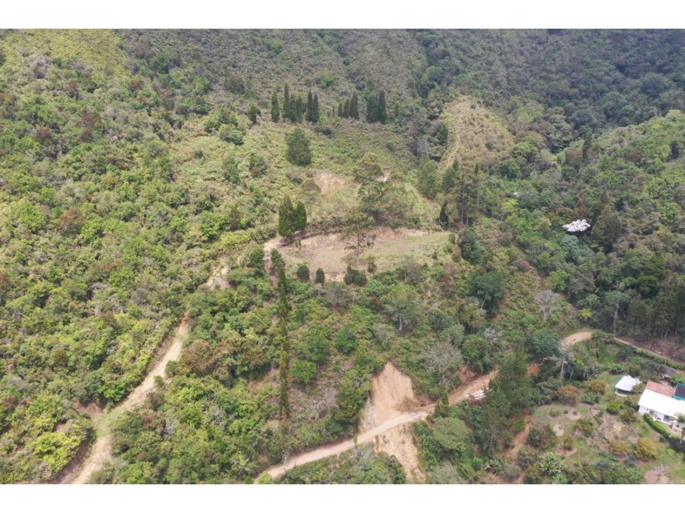 Lote en VENTA en Guarne, vereda la Hondita. — foto 5