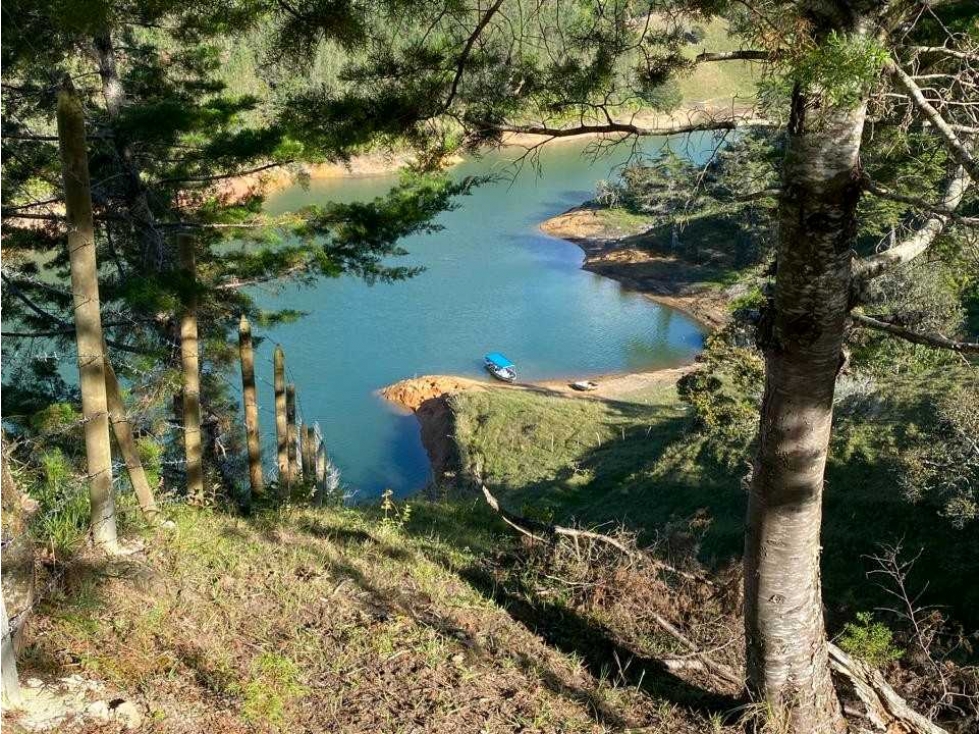 LOTE EN VENTA EN GUATAPE ANTIOQUIA