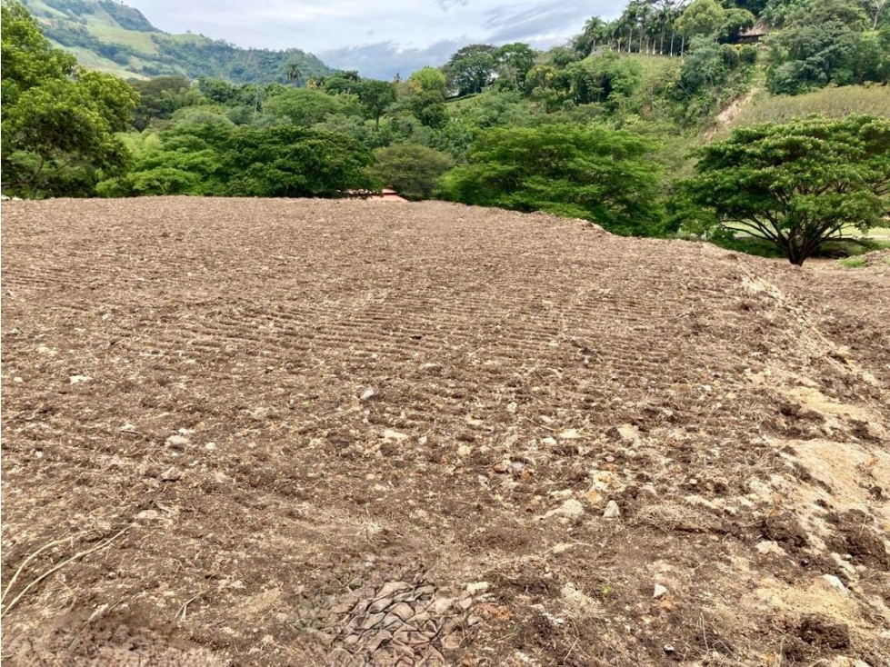 Lote en Venta en Hacienda Santa Clara, Bolombolo, Suroeste, Antioquia - 4