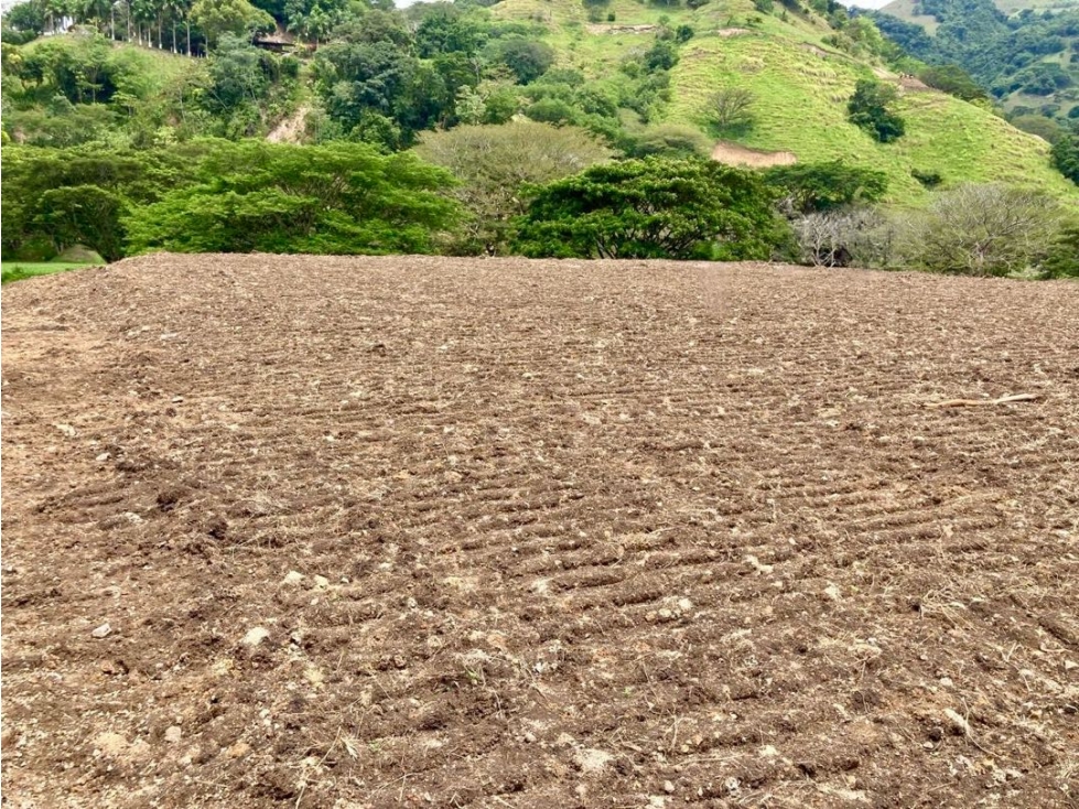 Lote en Venta en Hacienda Santa Clara, Bolombolo, Suroeste, Antioquia - 5