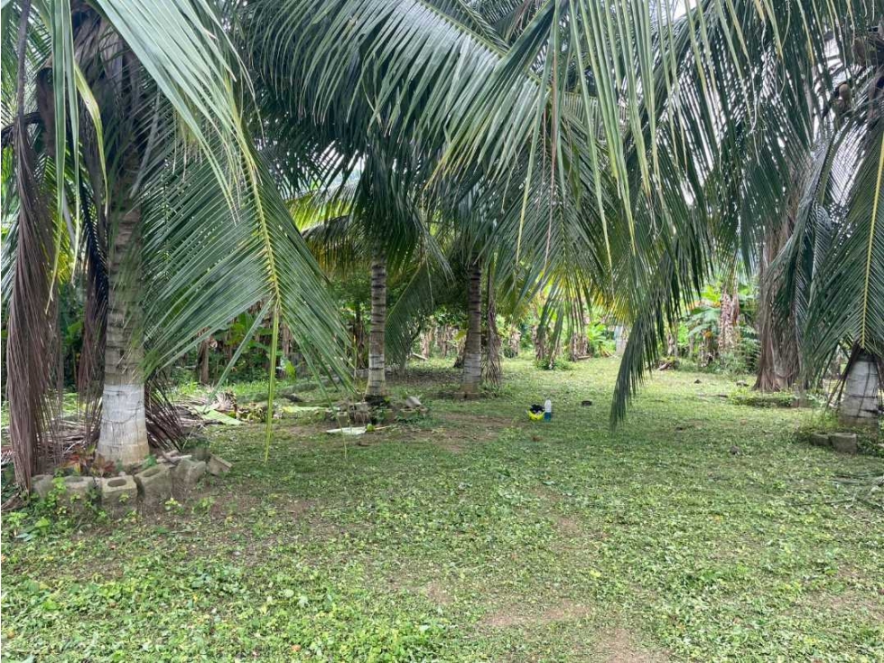 LOTE EN VENTA EN JARAQUIEL MONTERIA