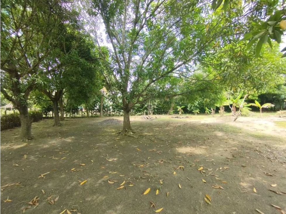 LOTE EN VENTA EN JARAQUIEL SOBRE LA VIA PAVIMENTADA — foto 4