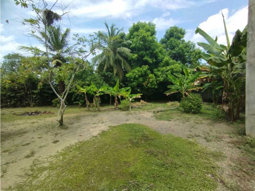 LOTE EN VENTA EN JARAQUIEL SOBRE LA VIA PAVIMENTADA — foto 5