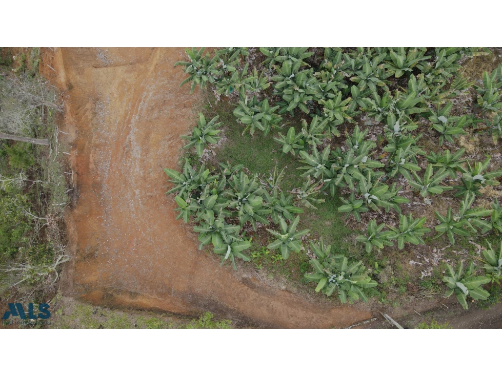 LOTE EN VENTA EN JARDÍN ANTIOQUIA(MLS#259961) - 2