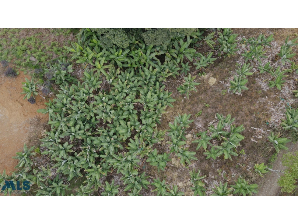 LOTE EN VENTA EN JARDÍN ANTIOQUIA(MLS#259961) - 3