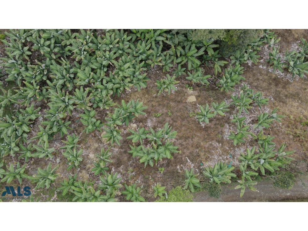 LOTE EN VENTA EN JARDÍN ANTIOQUIA(MLS#259961) - 4