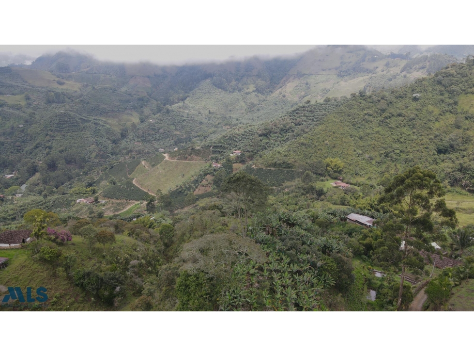 LOTE EN VENTA EN JARDÍN ANTIOQUIA(MLS#259961) - 6