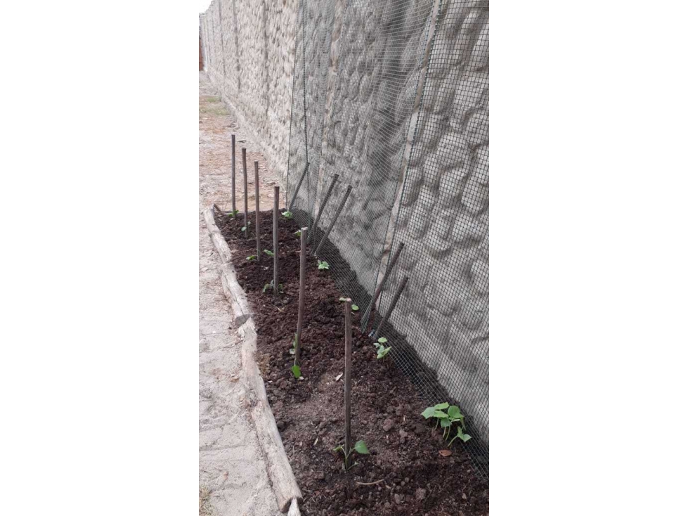 ¡LOTE EN VENTA EN LA BOQUILLA CARTAGENA! — foto 4