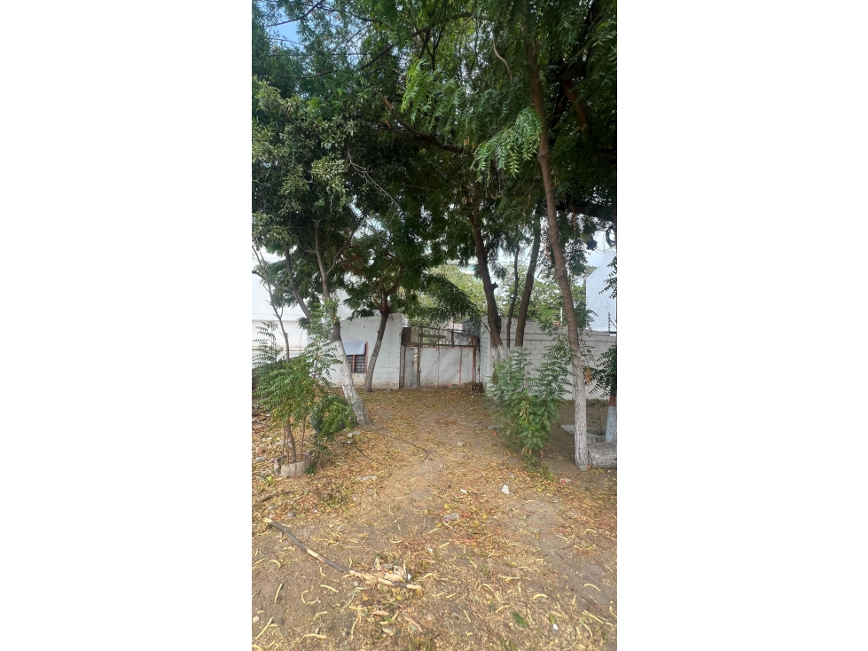 Lote en venta en la paz, Santa Marta Magdalena — foto 2