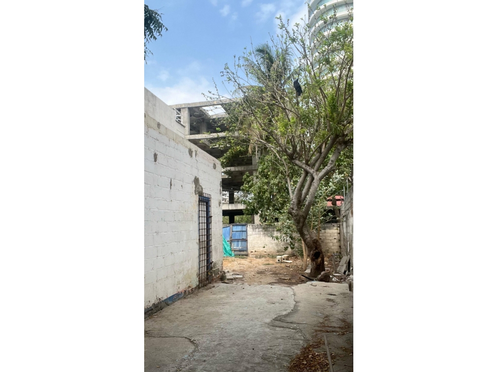 Lote en venta en la paz, Santa Marta Magdalena — foto 5