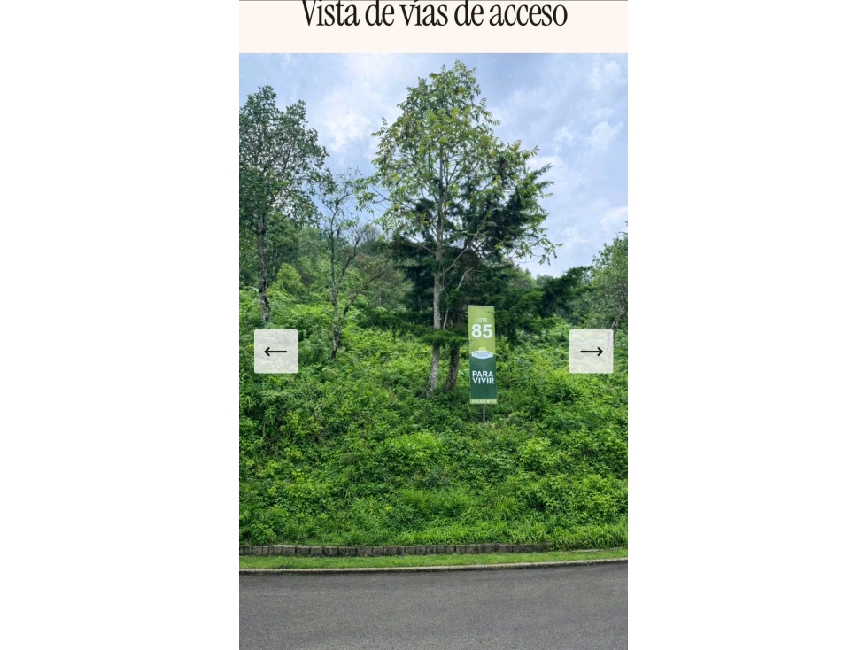 LOTE EN VENTA EN LAS PALMAS MEDELLÍN | CINTURÓN VERDE — foto 2