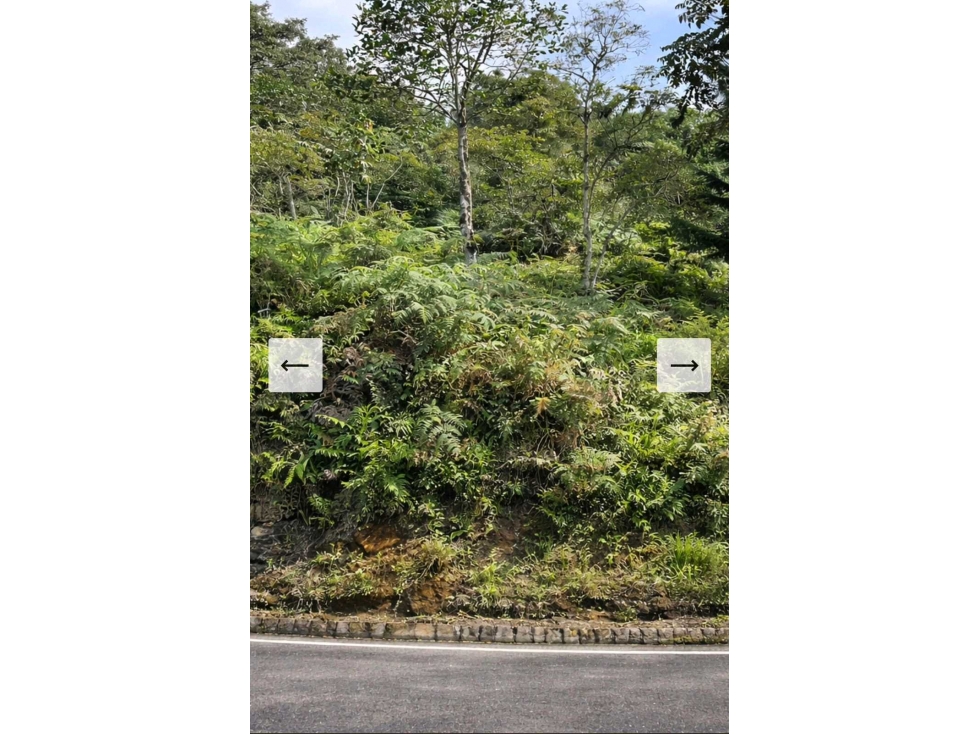 LOTE EN VENTA EN LAS PALMAS MEDELLÍN | CINTURÓN VERDE — foto 4