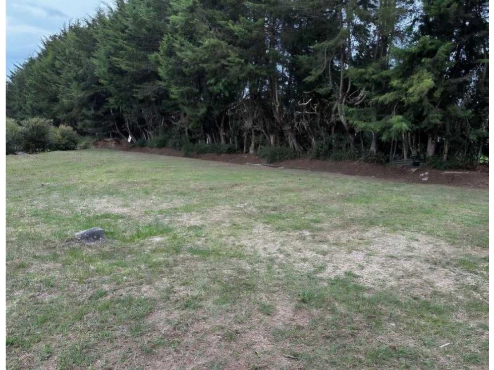 Lote en venta en Llanogrande — foto 3